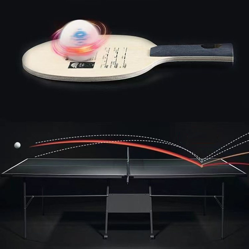 Lama da ping pong originale Sa - Table Tennis Eleven recensione e prezzo